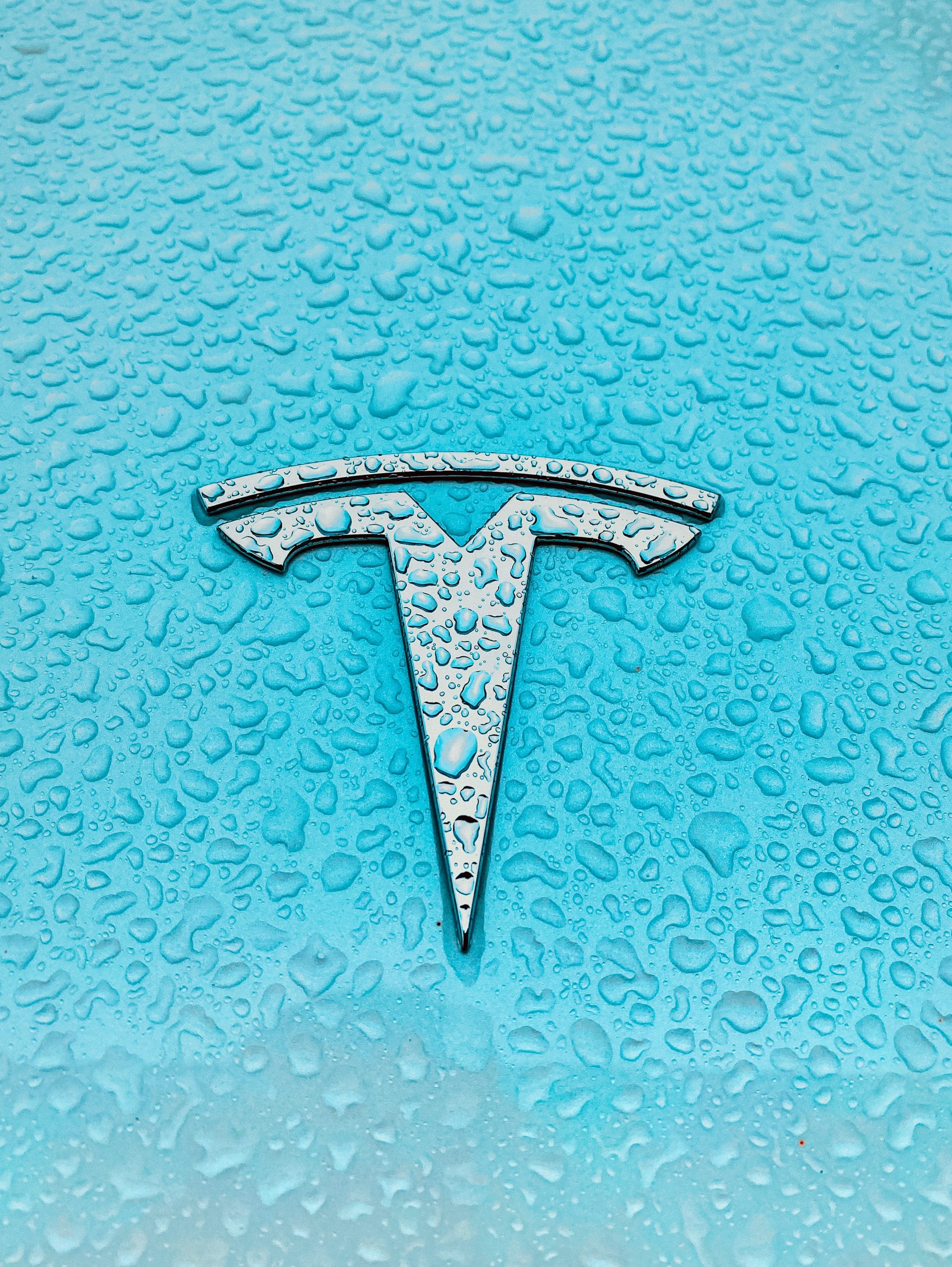 Tesla logo in front of car